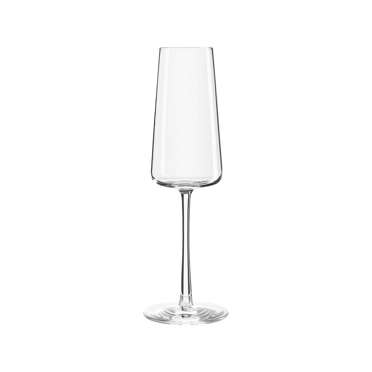 CHAMPAGNERGLÄSER Power transparent 240 ml 12er Set - Transparent, Glas (0.24L) - Stölzle Lausitz