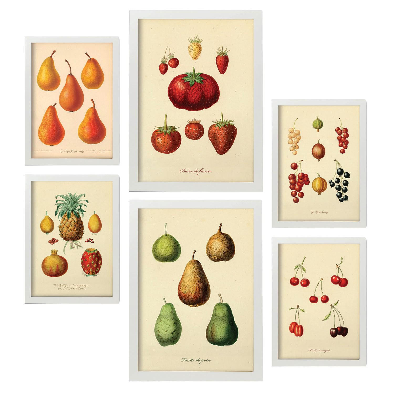 POSTER Set Mit 6 Früchte In Vintage A3 & A4 Weißer Rahmen - Weiß, Papier (29/3cm) - Nacnic