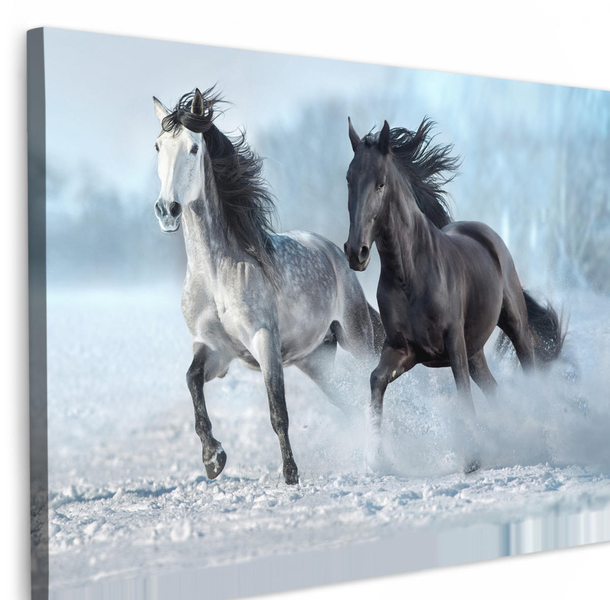 LEINWANDBILD Pferde - Winter - Tiere - Natur - Schnee XXL 150x100 cm - Anthrazit, Textil (150/100cm) - MuchoWow