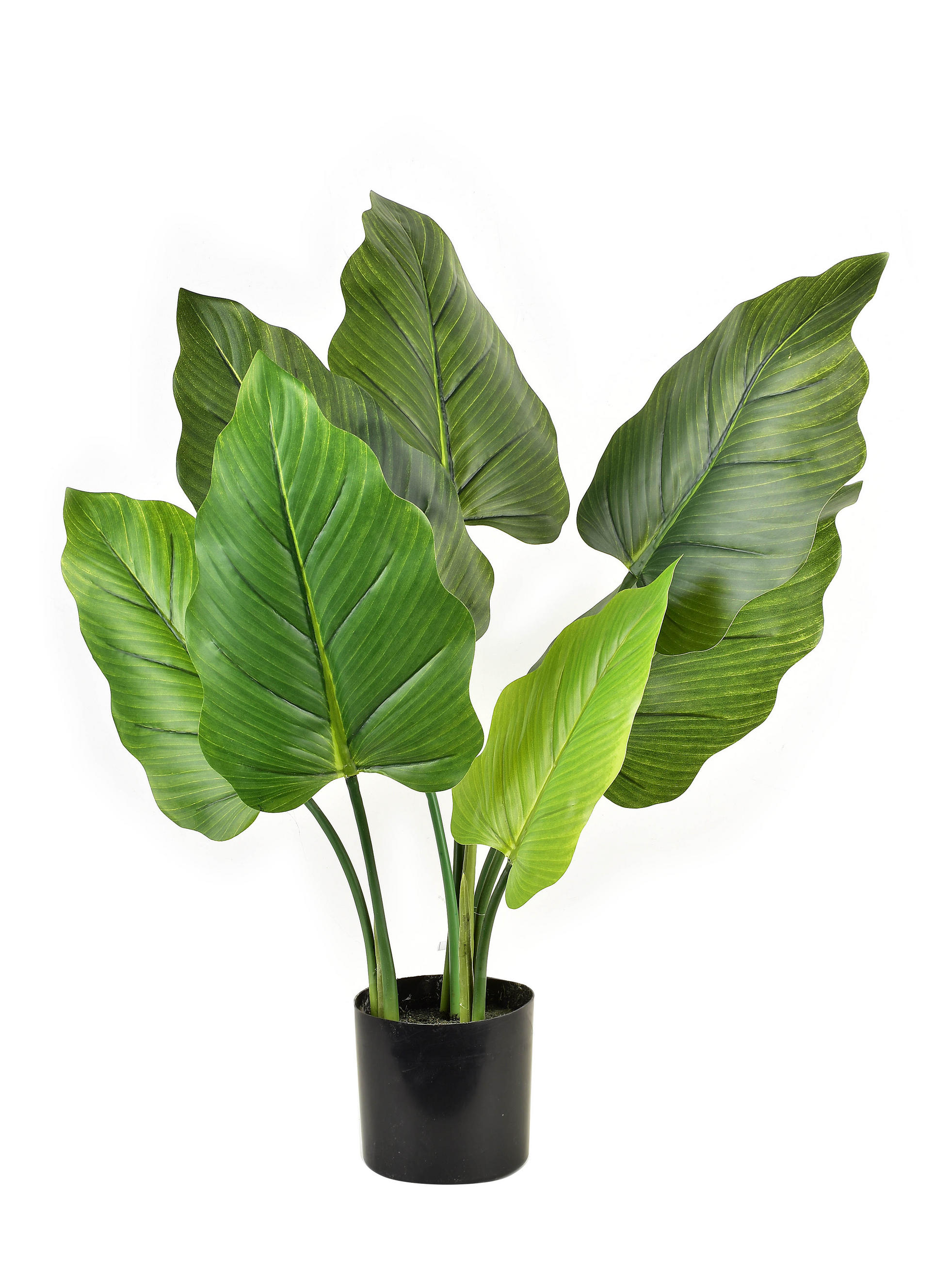 KUNSTPFLANZE Virdis Grün 40/25/65 cm Kunstoff - Grün, Kunststoff (65cm) - Mondex