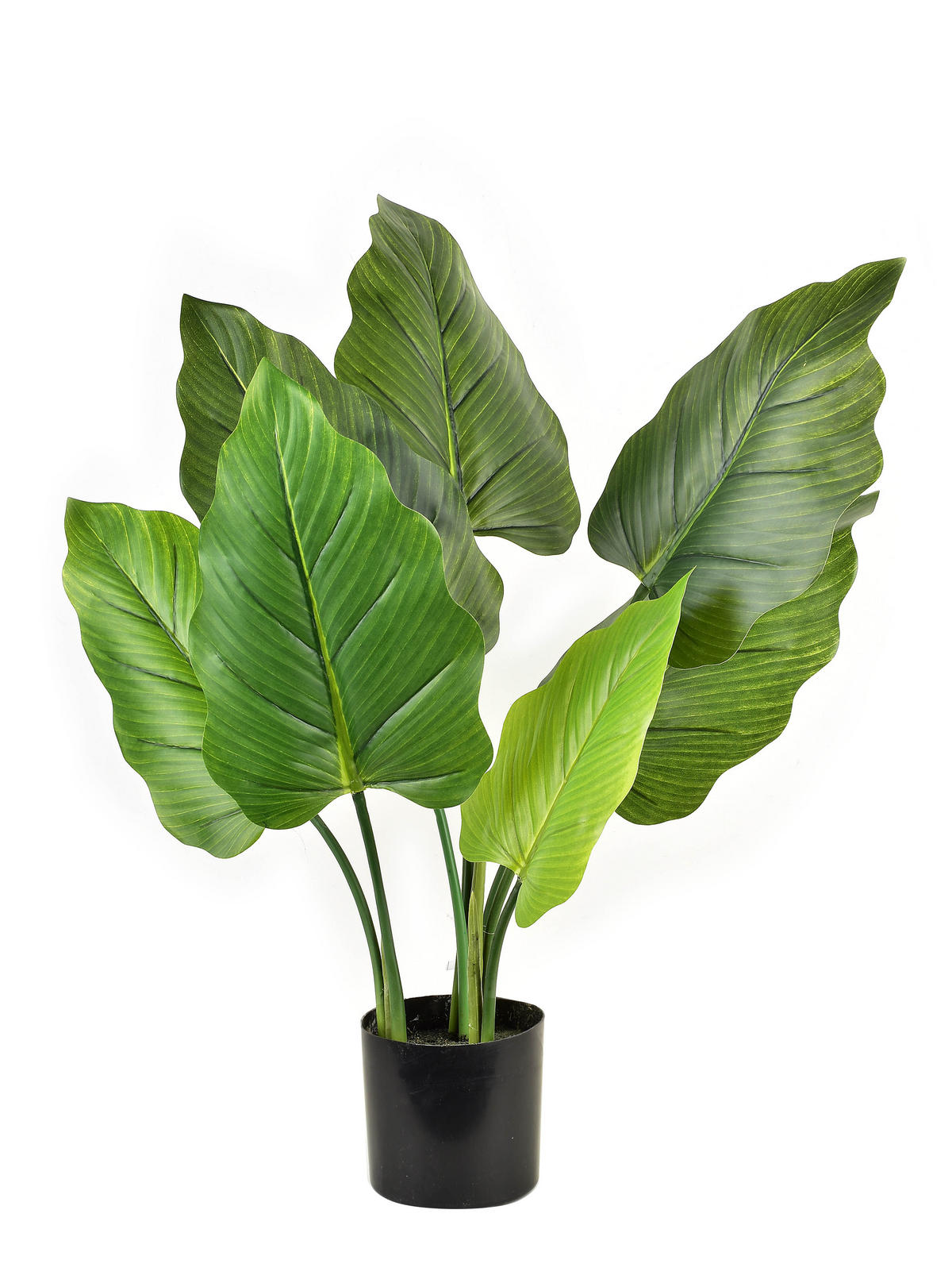 KUNSTPFLANZE Virdis Grün 40/25/65 cm Kunstoff - Grün, Kunststoff (65cm) - Mondex