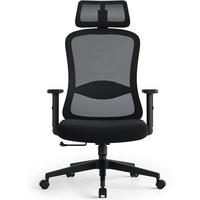 BÜROSTUHL Ergonomisch Schwarz mit 2D Kopfstütze und Lendenkissen - Schwarz, Kunststoff (64/109/66cm)