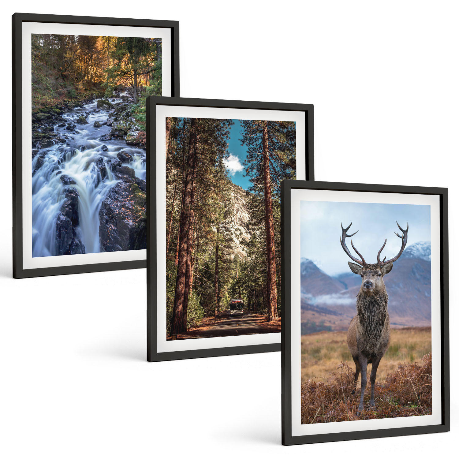 BILDER SET 3er Set - 40x60 cm Schwarzer Rahmen - Wasserfall Wald Berge Hirsch Natur - Schwarz, Kunststoff (40/60cm) - TULUP