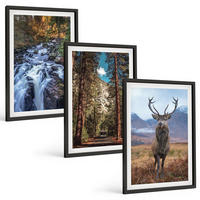 BILDER SET 3er Set - 40x60 cm Schwarzer Rahmen - Wasserfall Wald Berge Hirsch Natur - Schwarz, Kunststoff (40/60cm) - TULUP