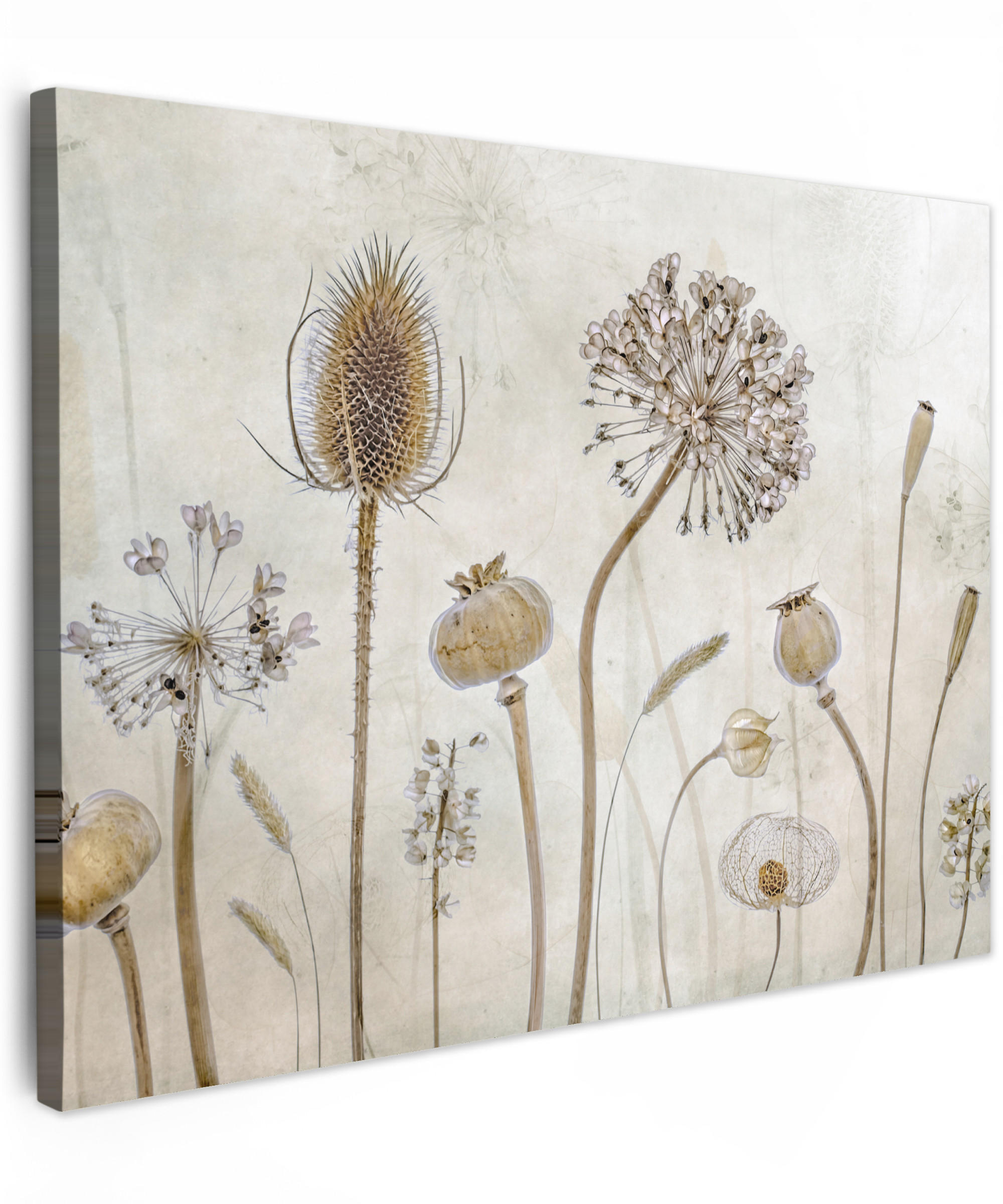 LEINWANDBILD Blumen - Aquarell - Stilleben - Braun - Vintage Wandbilder 80x60 cm - Beige, Textil (80/60cm) - MuchoWow