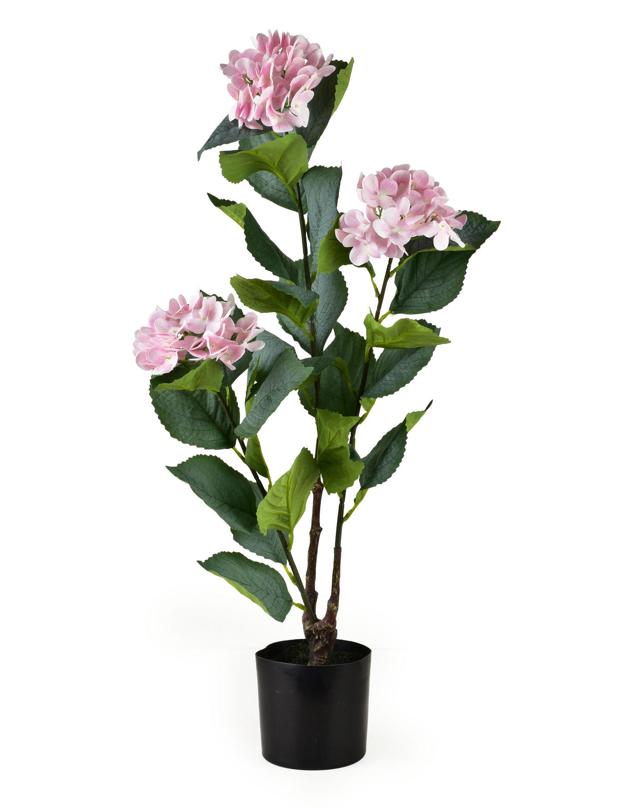 KUNSTBLUME Viridis Rosa 13x13x78 cm Kunststoff - Rosa, Kunststoff (78cm) - Mondex