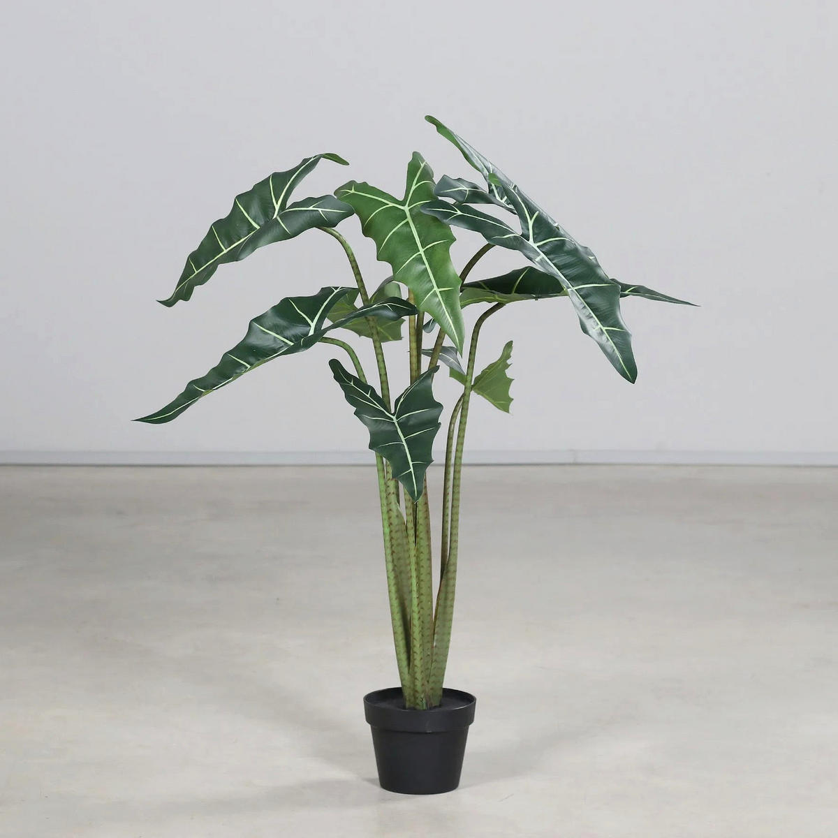 ALOCASIA Künstliche Alocasia - Marco 100 cm - Grün, Kunststoff (100cm) - aplanta