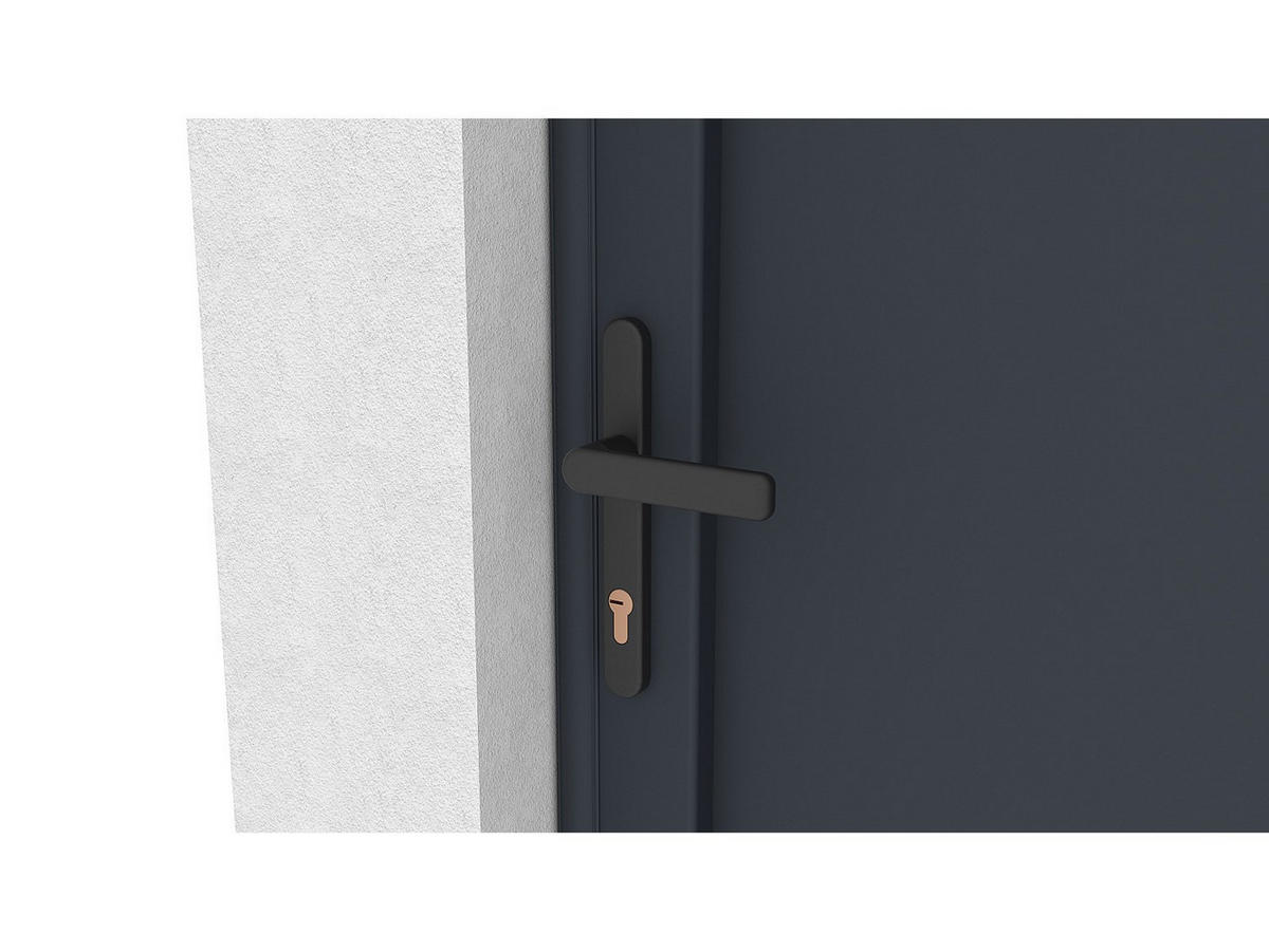 EINGANGSTOR - 103 x 4.6 - metall - anthrazitgrau Brameno - Anthrazit, Metall (103/176cm) - Vente-Unique