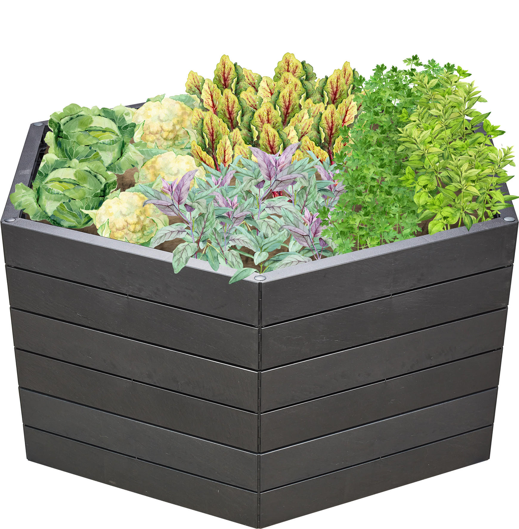 HOCHBEET XL 75, , inkl. Wassersparsystem - Anthrazit, Kunststoff (145/75/145cm) - GARANTIA