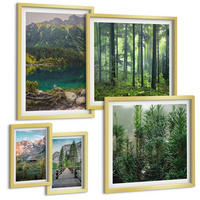 BILDER SET 5er Set - 50x50 cm & 20x30 cm & 40x60 cm Goldrahmen - Minimalistische Pflanzenzeichnungen - Goldfarben, Kunststoff (40/60cm) - TULUP