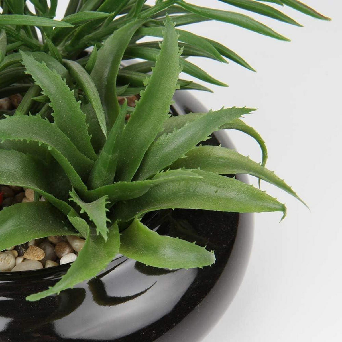 KUNSTPFLANZE Sukkulenten Arrangement im Keramiktopf 18 cm Schwarz - Schwarz, Keramik (18cm)