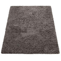 HOCHFLORTEPPICH 120/160 cm Milano 861 - Anthrazit, Textil (120/160cm) - Paco Home