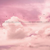 FOTOTAPETE Wolken 400 x 250 cm - Pink, Papier (400/250cm) - Sanders & Sanders