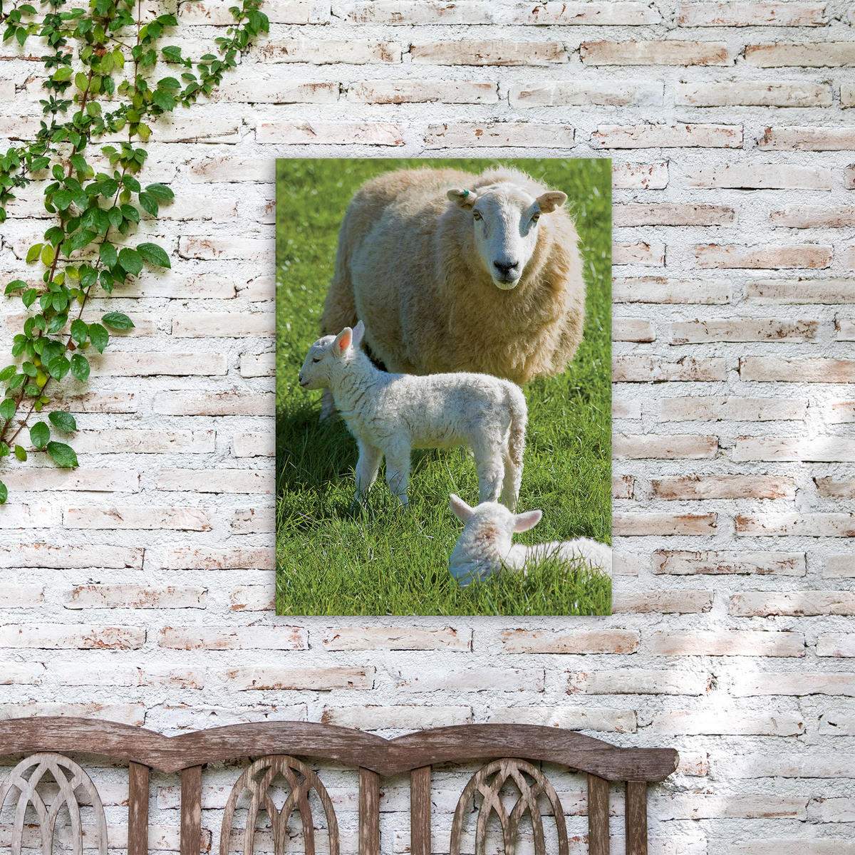 LEINWANDBILD Schafsfamilie 70x50cm - Weiß/Grün, Textil (70/1cm) - Art for the Home