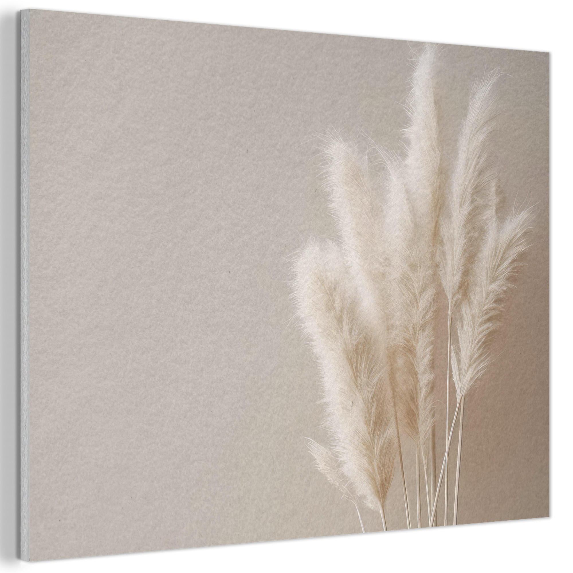 MuchoWow AKUSTICKÝ obraz Pampová tráva - Plumes - Pastelová - Bílá 80x60 cm
