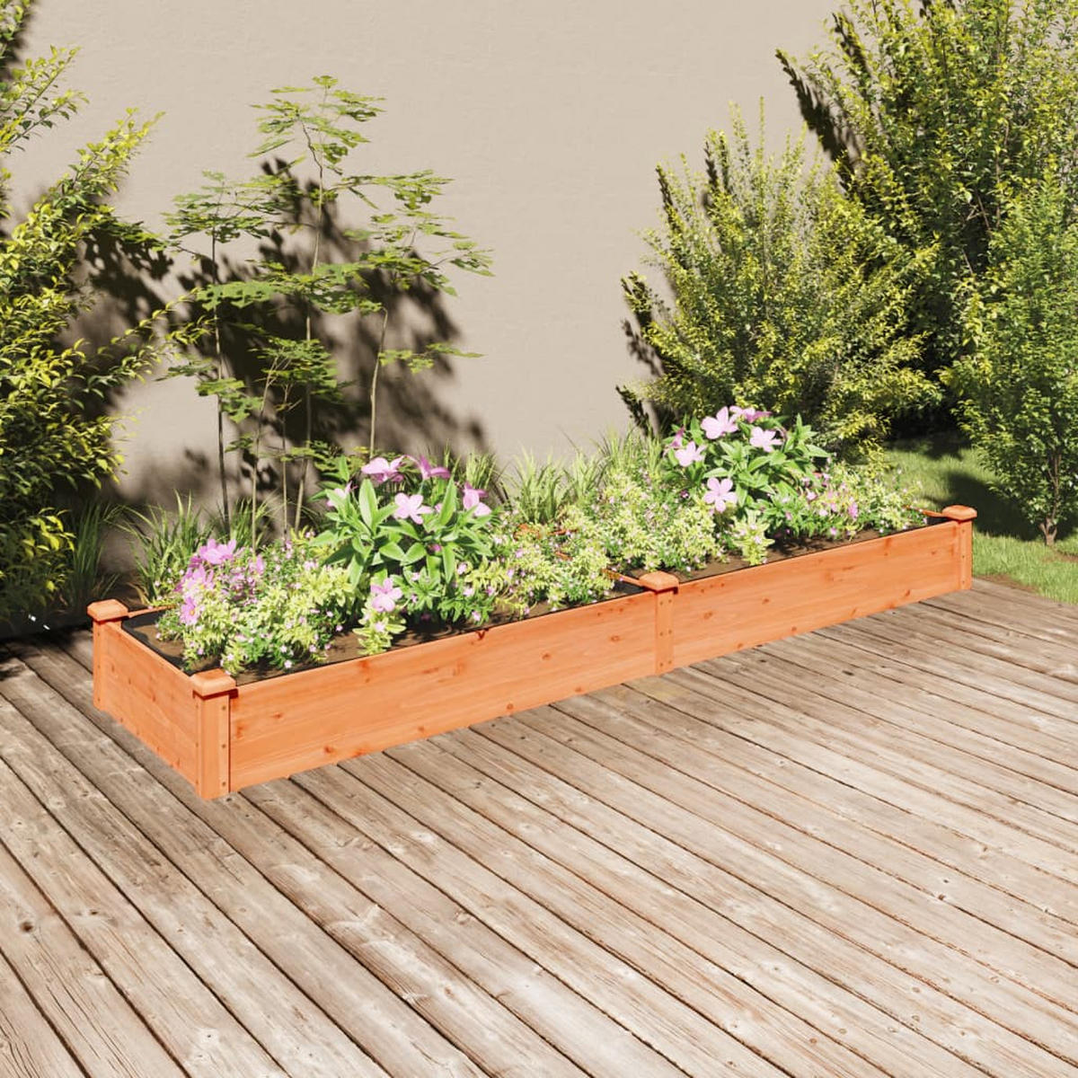 HOCHBEET mit Einsatz Braun 240x60x25 cm Massivholz Tanne - Braun, Holz (240/25/60cm)