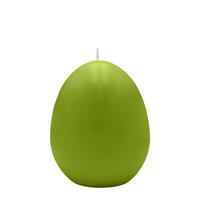 EIKERZEN Limonegrün 120 x Ø 80 mm, 6 Stück - Grün, Paraffin (8/12/12cm) - Kopschitz Kerzen