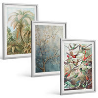 BILDER SET 3er Set - 40x60 cm Silberner Rahmen - Tropische Pflanzen, Vögel, Natur - Silberfarben, Kunststoff (40/60cm) - TULUP