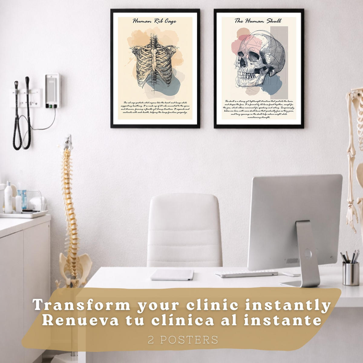 POSTER Set aus 2 Anatomie Mensch Lernposter Drucke und Wandbilder mit Skelett Rippen und Schädel Klinik Büro Dekoration Größe Schwarzer Rahmen A4 - Schwarz, Papier (21/29.7/3cm) - Nacnic