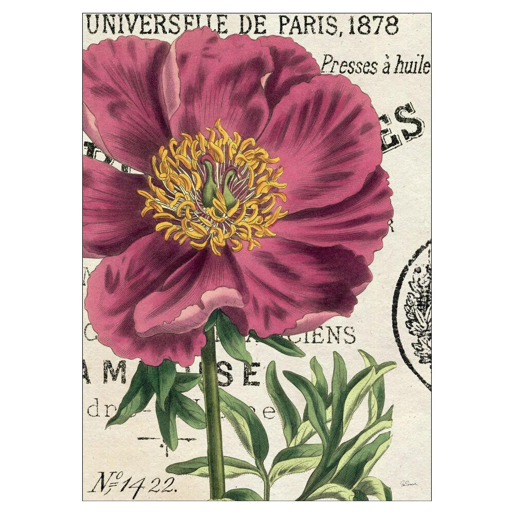 Poster&Frame Poster Pink 50x70x0.1 cm