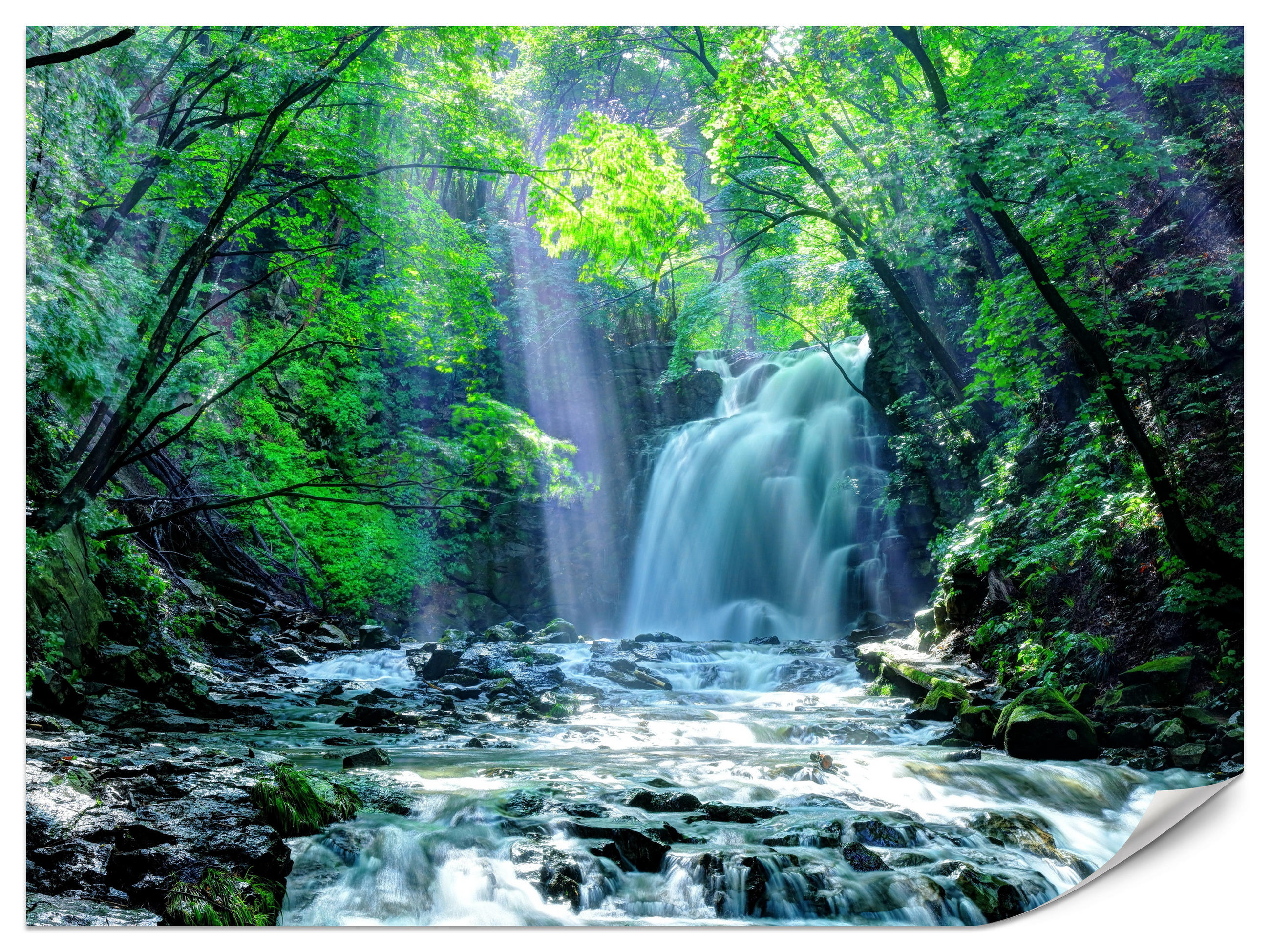 FOTOTAPETE für Schlafzimmer Wasserfall Wald Felsen Bäume Pflanzen 500x350 - Türkis/Blau, Papier (500/350cm) - Muralo