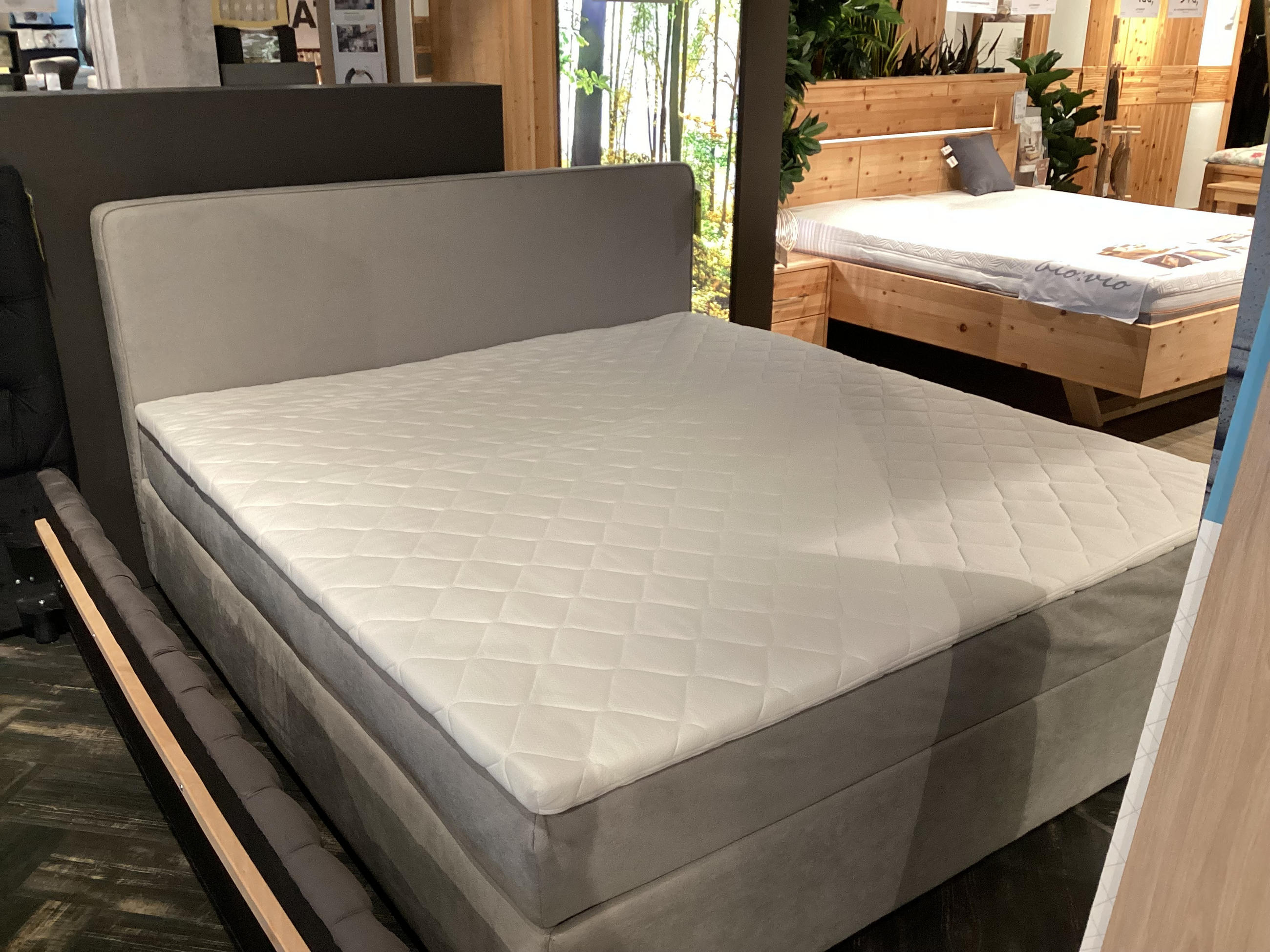Boxbett Apollo