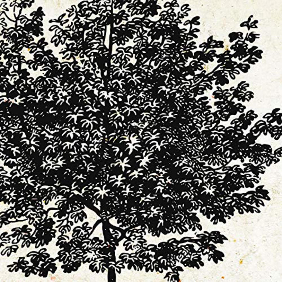 POSTER Set mit 4 Blättern der Grove Jahrgang Hintergrund 30x30 cm Rahmenlos - Klar, Papier (30/3cm) - Nacnic