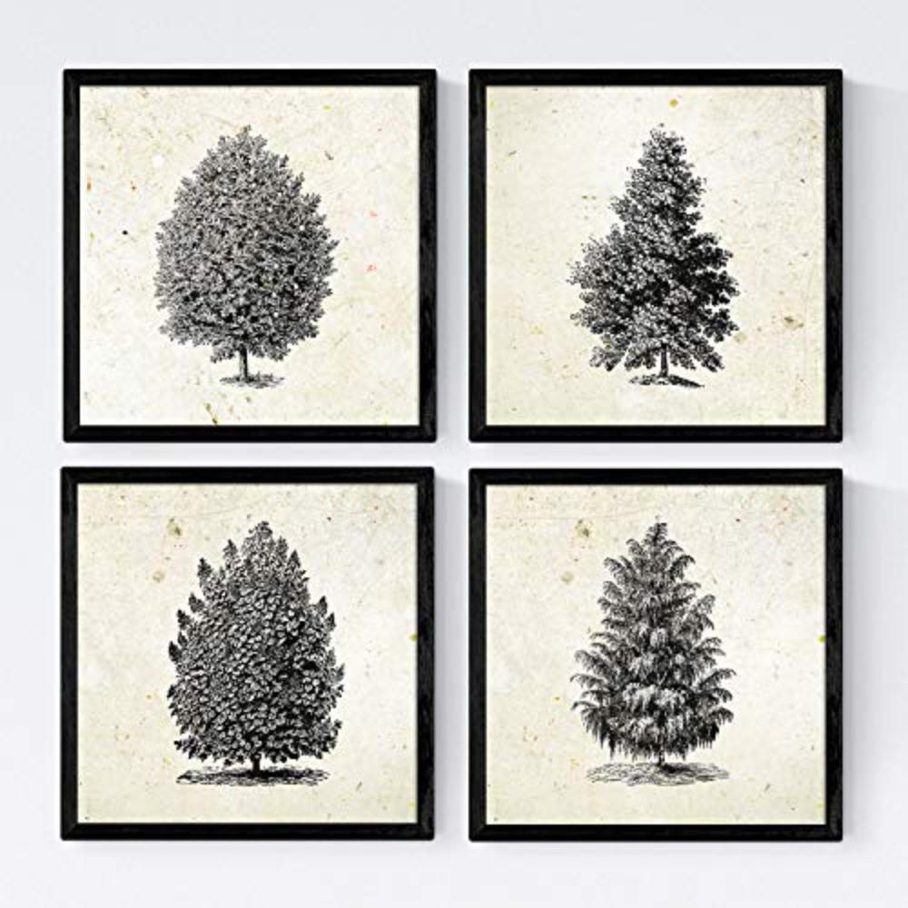 POSTER Set mit 4 Blättern der Hohe Bäume Jahrgang Hintergrund 20x20cm Rahmenlos - Klar, Papier (20/3cm) - Nacnic