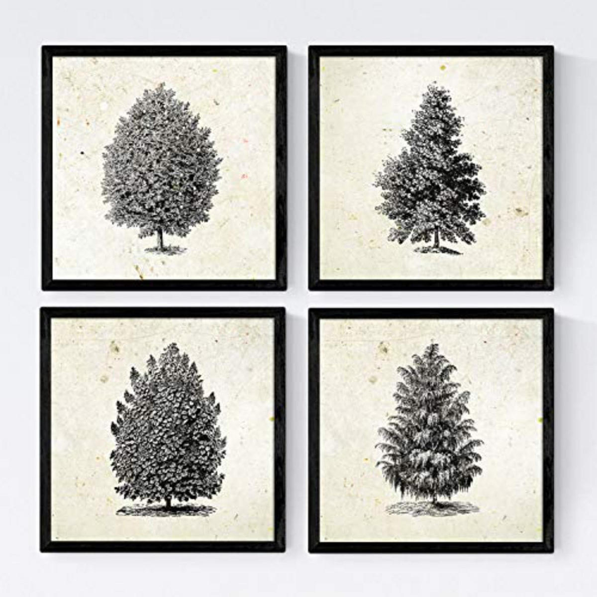 POSTER Set mit 4 Blättern der Hohe Bäume Jahrgang Hintergrund 20x20cm Rahmenlos - Klar, Papier (20/3cm) - Nacnic