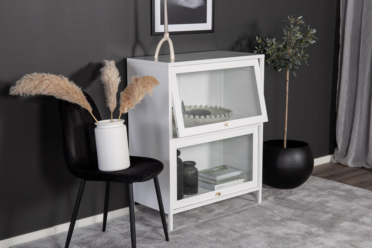 VITRINE weiß - Weiß, Holzwerkstoff (80/100/40cm) - ebuy24