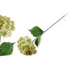 KUNSTBLUME Virdis Hortensia Grün 73/73/73 cm Kunstoff - Grün, Kunststoff (73cm) - Mondex
