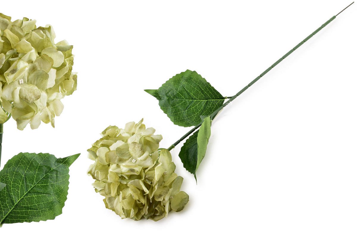 KUNSTBLUME Virdis Hortensia Grün 73/73/73 cm Kunstoff - Grün, Kunststoff (73cm) - Mondex