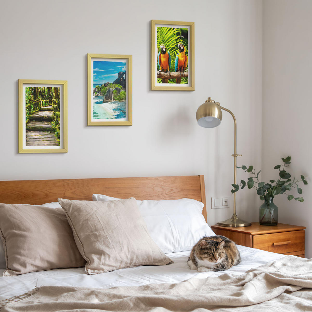 BILDER SET 3er Set - 20x30 cm Goldrahmen - Tropischer Wald Papageienwasserfall - Goldfarben, Kunststoff (20/30cm) - TULUP