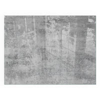 GLASPLATTE für Kamin 80x60 cm - Grau, Glas (80/60/0.4cm) - TULUP