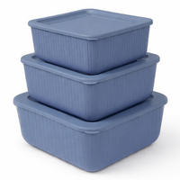 VORRATSDOSEN 3-teilig 0,5L/1L/1,5L Blau - Blau, Kunststoff - ProHome