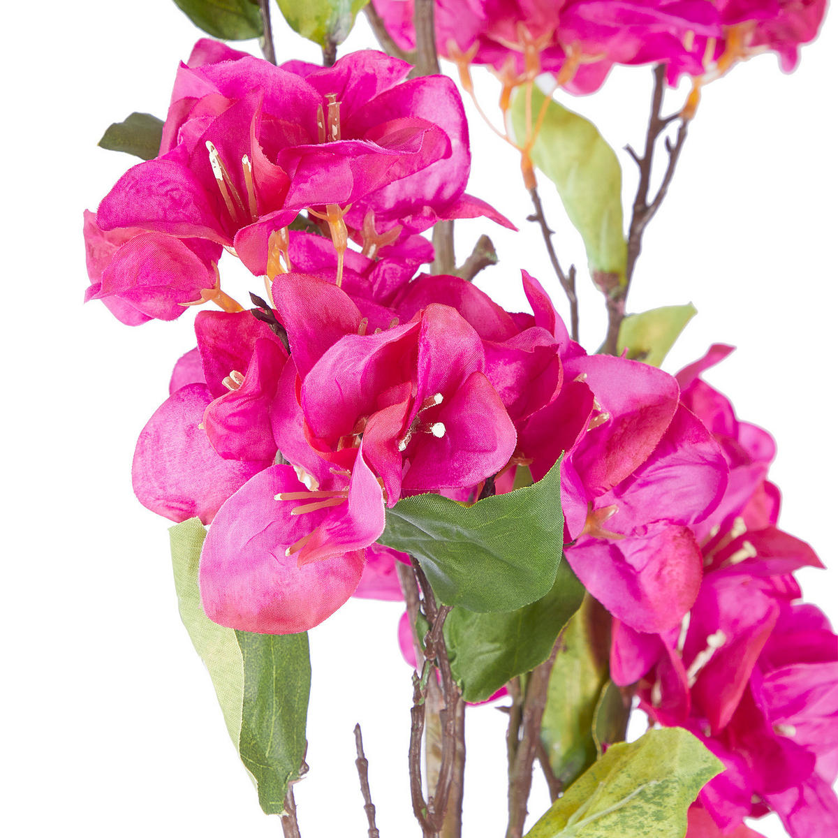 KUNSTBLUME Florista - Pink, Kunststoff (130cm) - Butlers