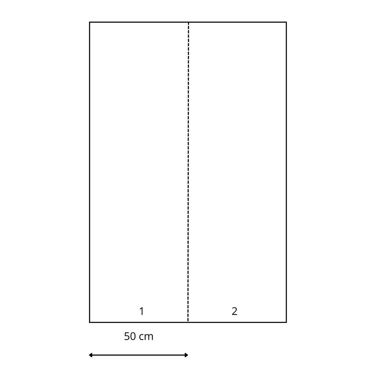 FOTOTAPETE Fisch 250 x 100 cm - Schwarz, Papier (250/100cm) - ESTAhome