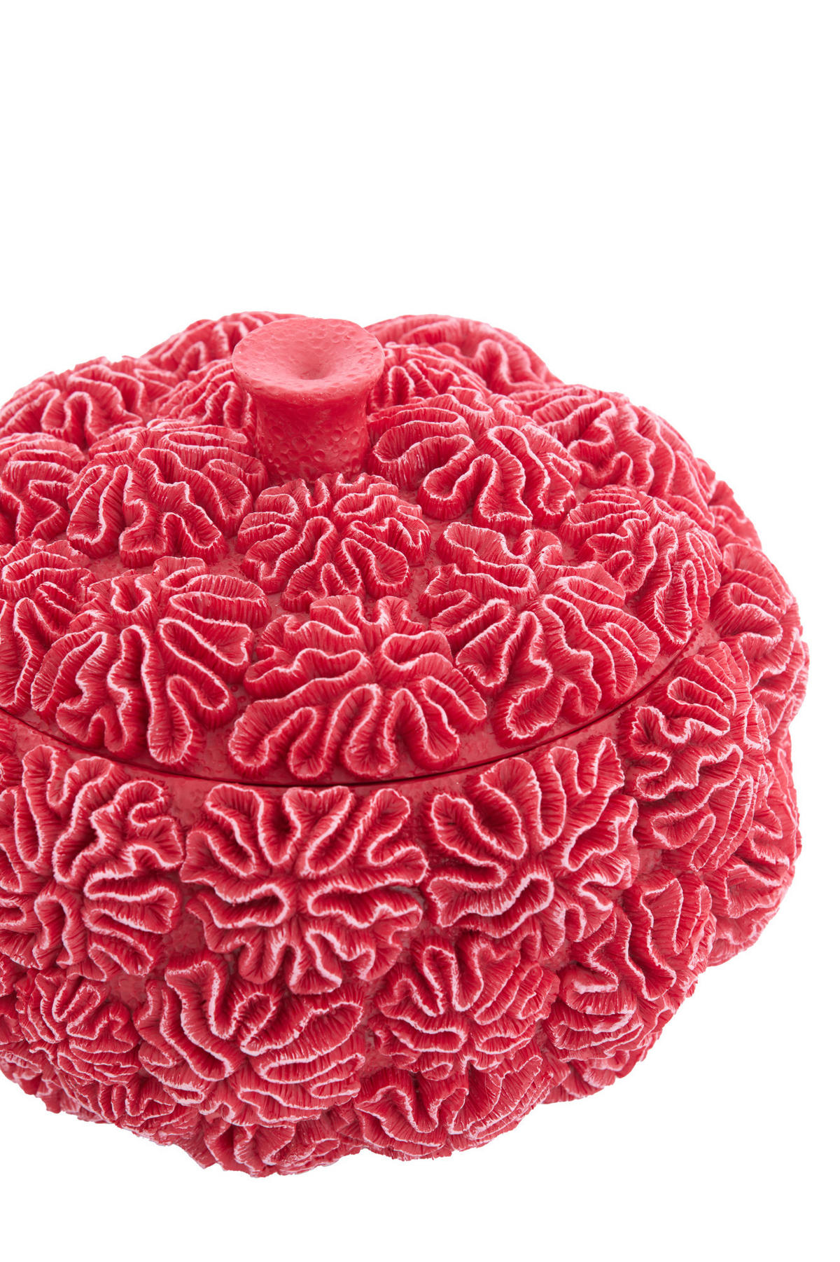 DEKO-DOSE Coral Rot Ø20/15,5 cm - Rot, Kunststoff (20/15.5/20cm) - Light & Living