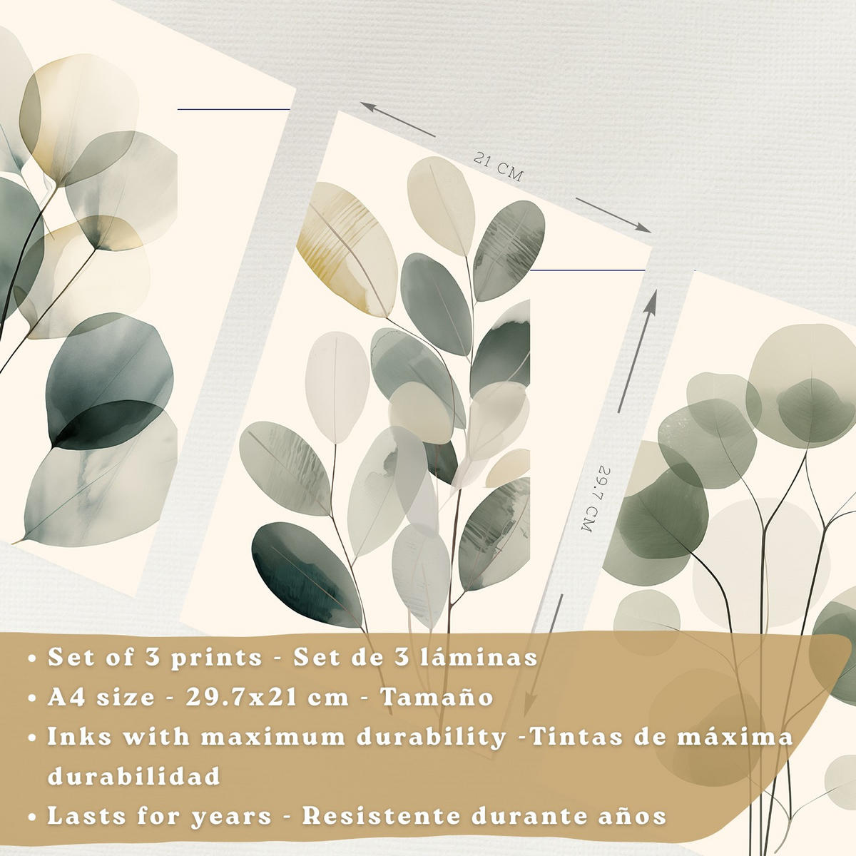 PLAKAT Sada 3 Rostliny A4 Bílý rám - bílá, papír (29.7/1/21cm) - Nacnic