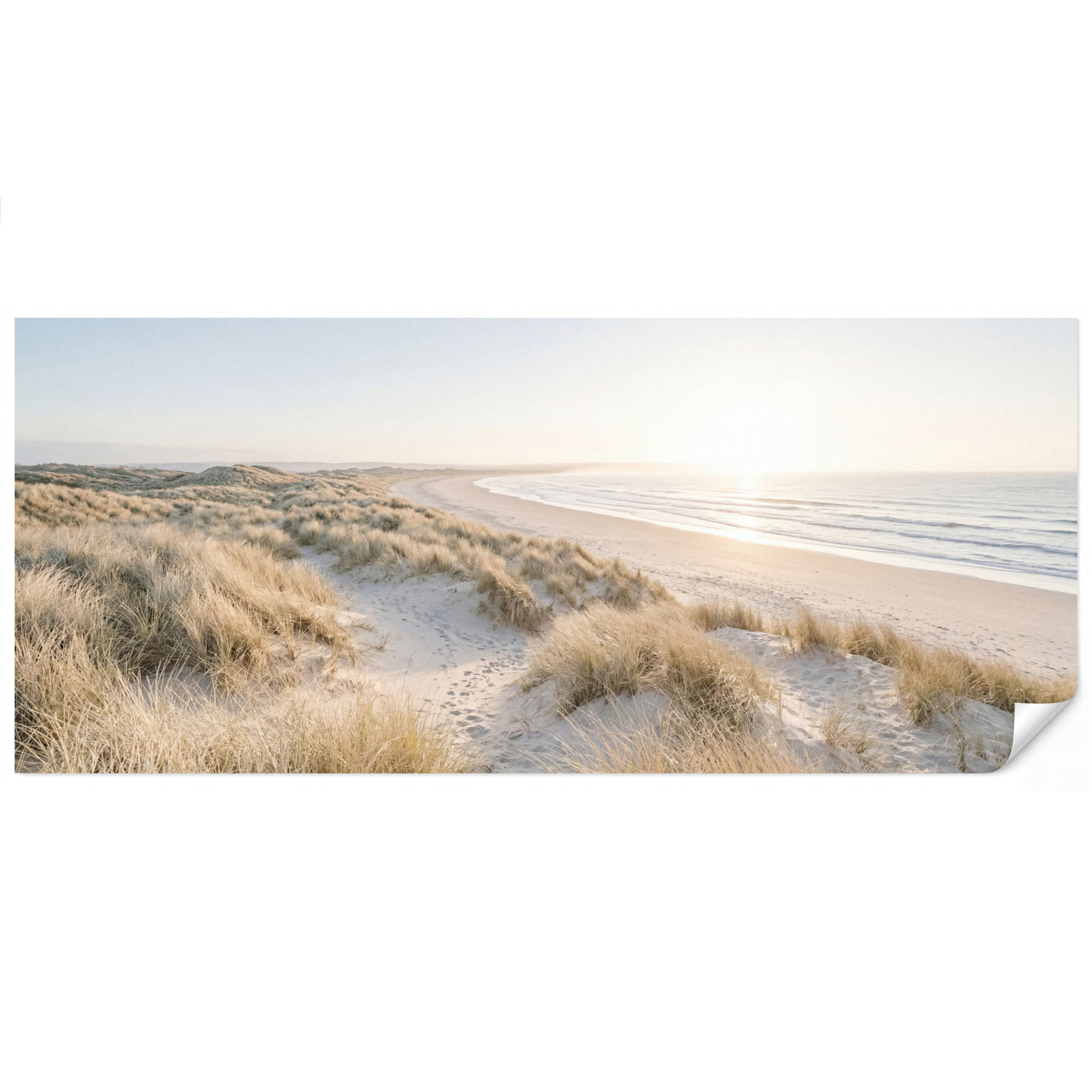 OnlyWow Tapete Sand 450x200 cm