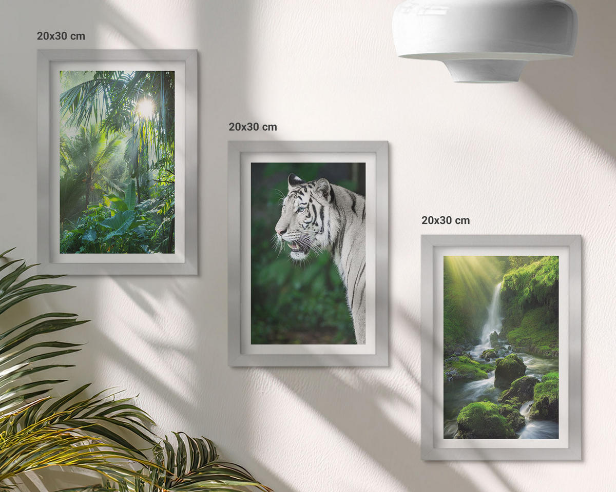 BILDER SET 3er Set - 20x30 cm Silberner Rahmen - Dschungeltigerwasserfall - Silberfarben, Kunststoff (20/30cm) - TULUP