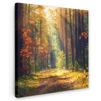 LEINWANDBILD Wald - Herbst - Bäume 20x20 cm - Dunkelgrün, Textil (20/20cm) - MuchoWow
