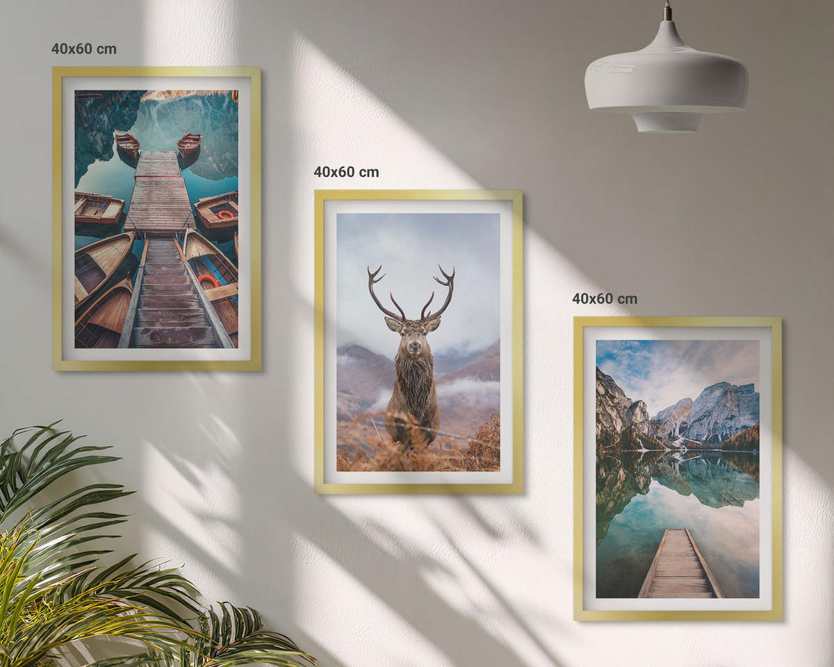 BILDER SET 3er Set - 40x60 cm Goldrahmen - Seeboote Hirsche Berge - Goldfarben, Kunststoff (40/60cm) - TULUP