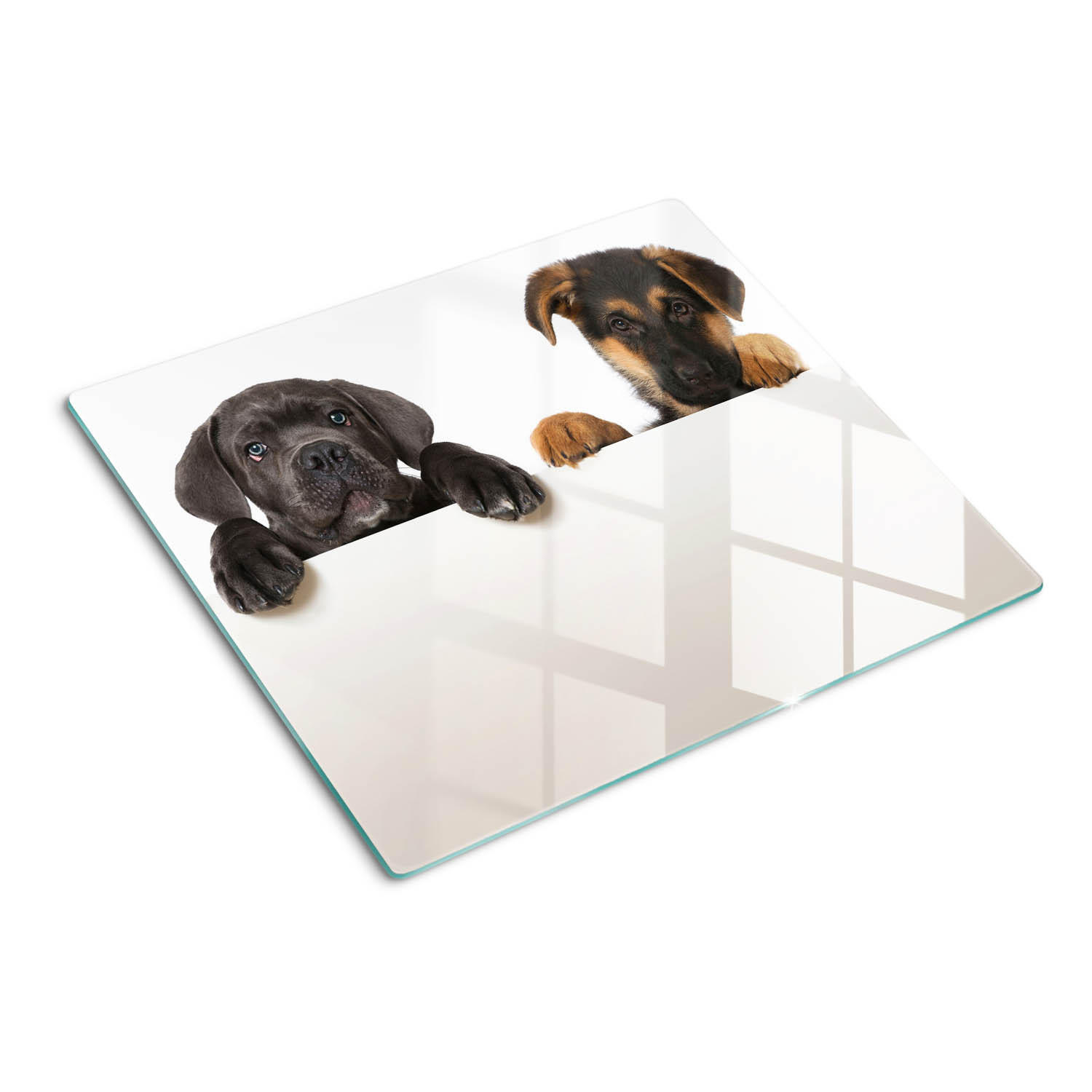GLASPLATTE 60x52 cm Drei Welpen - Dunkelbraun, Glas (60/52cm) - TULUP
