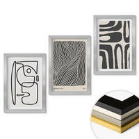 WANDBILDER 3er Set - 20x30 cm Silberner Rahmen - Abstrakte Muster, Linien, Texturen - Silberfarben, Kunststoff (20/30cm) - ArtPrintCave
