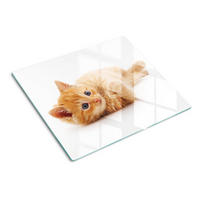GLASPLATTE 60x52 cm Rote Katze - Bernsteinfarben, Glas (60/52cm) - TULUP