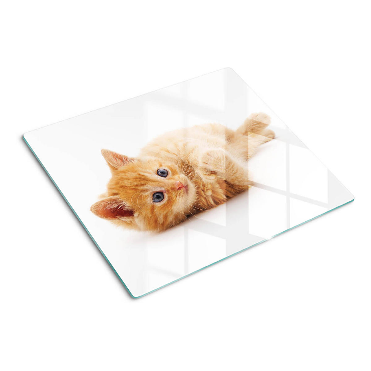GLASPLATTE 60x52 cm Rote Katze - Bernsteinfarben, Glas (60/52cm) - TULUP