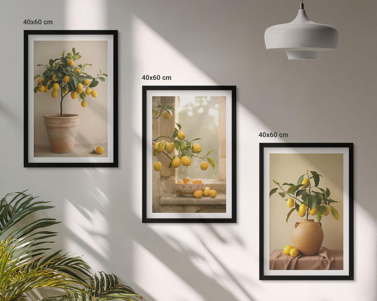 WANDBILDER 3er-Set - 40x60 cm Schwarzer Rahmen - Zitronenbäume im Topf - Schwarz, Kunststoff (40/60cm) - ArtPrintCave