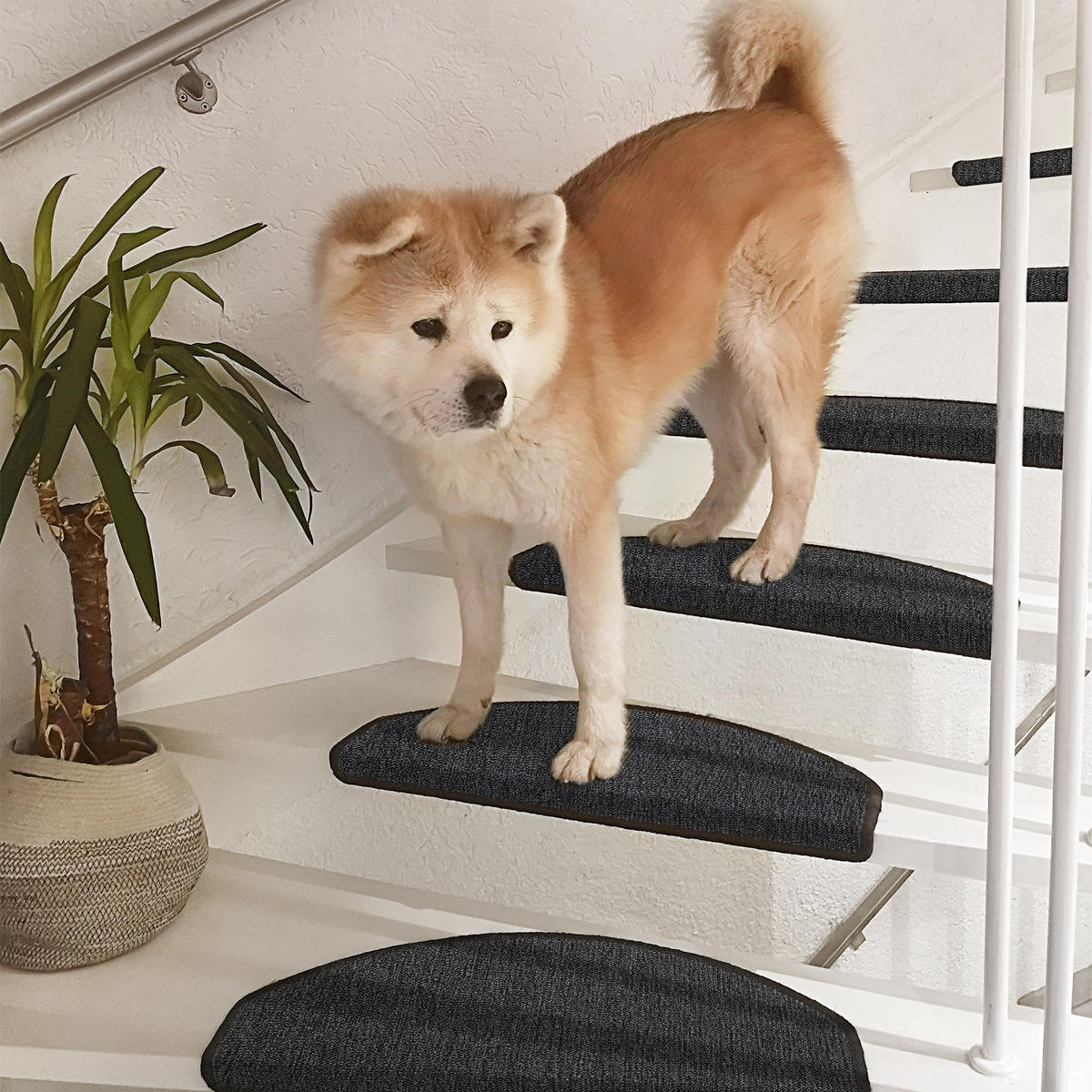 STUFENMATTE ProStair 65/28 cm Anthrazit 15tlg - Anthrazit, Textil (65/25/1cm) - Beautissu 