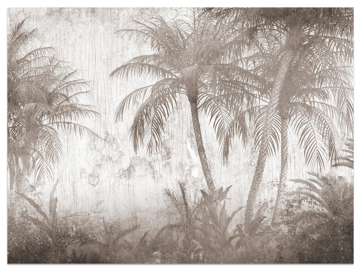 FOTOTAPETA Pre Spálňu Tropické Palmy Rustikálna Béžová 250 x 175 cm - hnedá/béžová, papier (250/175cm) - Muralo